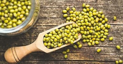 Bí quyết dưỡng sinh ngày Hạ chí: Điểm cốt lõi giúp giải nhiệt của bí đao không chỉ nằm ở phần thịt quả