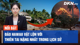 Tin sáng 13/8: Các chuyên gia ghép phổi Trung Quốc ‘khoe’ thành tích ghép phổi