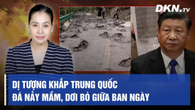 Tin tức 24h mới nhất 13/8: TT Biden tiếp tục châm chọc Tập Cận Bình, Bắc Kinh nổi giận