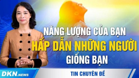 Năng lượng của bạn hấp dẫn những người giống bạn