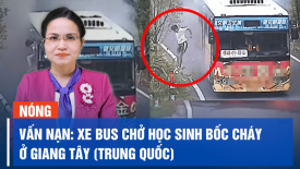 Alibaba đầu tư 2 tỷ USD vào Thổ Nhĩ Kỳ; Bắt phó Chi cục Thi hành án Thủ Dầu Một (Bình Dương)