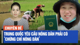 Trung Quốc đưa đội nông quản xâm nhập nông thôn, thực hiện nhiều chính sách ngớ ngẩn