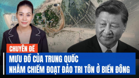 Trung Quốc bí mật xây đường băng quân sự trên đảo Tri Tôn, Hoàng Sa?