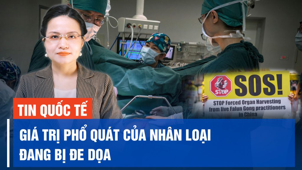 Mỹ và những nước khác đang xem xét các lựa chọn cho tương lai của Gaza sau khi Hamas bị loại