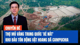 Thợ đào vàng Trung Quốc 'xé nát' khu bảo tồn động vật hoang dã Campuchia?