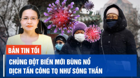 IDF bắt 90 thành viên Hamas trong bệnh viện Gaza; Ukraine lên kế hoạch phản công mới