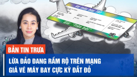 Cận Tết lừa đảo hoành hành trên mạng; Giá vé máy bay, xe khách thành nỗi ám ảnh cho người lao động