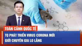 Quan chức Mỹ tới Trung Đông đàm phán thỏa thuận con tin; Ứng viên TT Cộng hòa rút khỏi bầu cử Mỹ