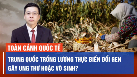Thủ tướng Qatar và Đức sắp sang Mỹ; Mỹ sẽ khai triển vũ khí hạt nhân ở Anh lần đầu sau 15 năm