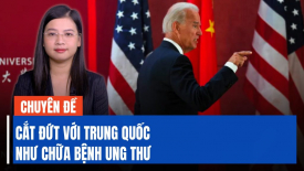 Chuyên gia: Cắt đứt mối quan hệ với Trung Quốc như chữa căn bệnh ung thư
