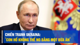Chuyên gia: 2 năm chiến tranh Ukraina khiến thế giới hiểu rằng ‘con hổ không thể no bằng một bữa ăn’