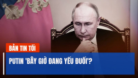 Cựu nhân viên tình báo Mỹ CIA: Putin 'Bây giờ đang yếu đuối'
