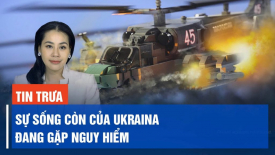 Nga, Ukraina đẩy lùi các cuộc tấn công ở biên giới; Mỹ thử nghiệm vũ khí siêu thanh thành công