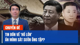 Thông tin có ‘hổ lớn’ ẩn mình sát sườn ông Tập có khiến Trung Nam Hải xáo trộn?