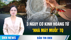 3 nguy cơ kinh hoàng từ 'nhà máy muỗi' của TQ.  Báo động: thân nhân khủng bố vào Hoa Kỳ
