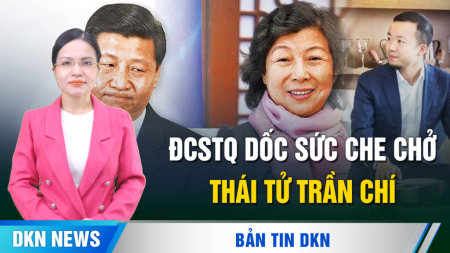 Lời cầu cứu từ ‘ổ lừa đảo’ Myanmar. Phẫn nộ vì ĐCSTQ xóa bình luận về ‘Thái tử’ Trần Chí.