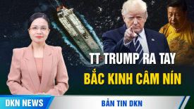 Tổng thống Trump tuyên bố trừng phạt ISIS; Musk hối hận khi tham gia DOGE, mất ngủ vì AI