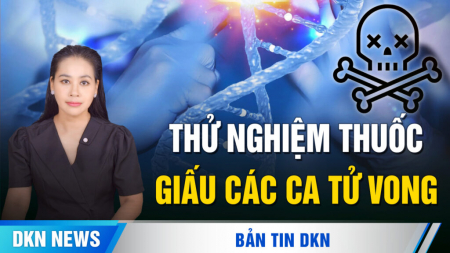 Ukraina - Nga không kích dữ dội; Số người thiệt mạng do lũ lụt tại Quảng Tây tăng vọt