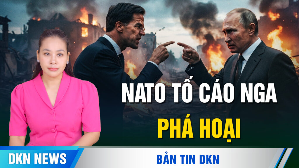 NATO tố Nga phá hoại; TT Trump phản bác loạt thông tin gây sốc; Chỉ huy Hamas thiệt mạng