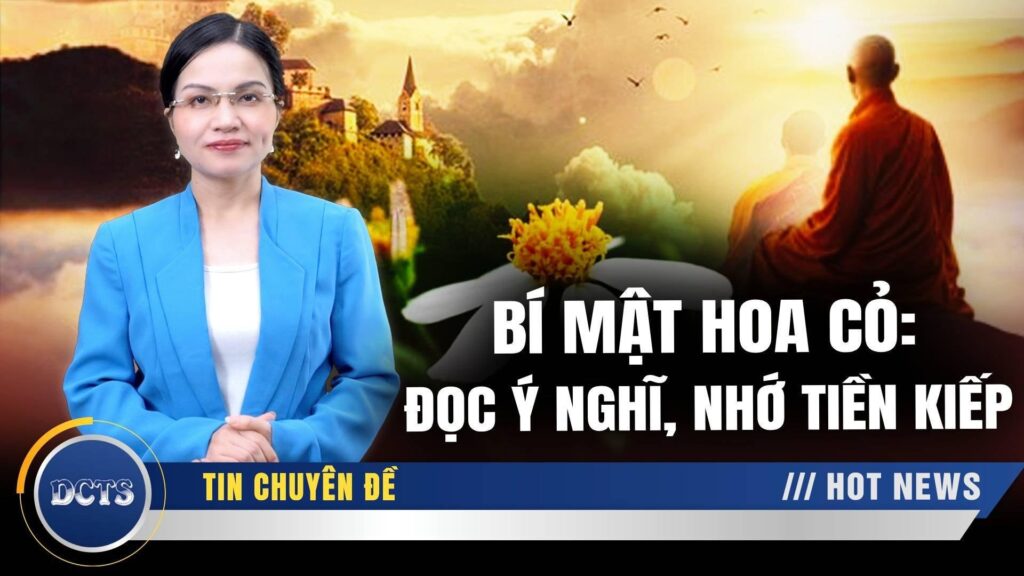 Hành trình hàng ngàn năm làm đá tảng, cỏ cây để đổi lấy một kiếp làm người của Tịnh Nguyệt Liêm